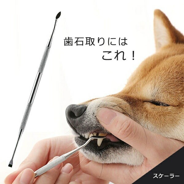 Qoo10] ペット用 スケーラー 歯石 歯石取り 犬
