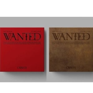 CNBLUE / WANTED