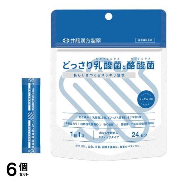 どっさり乳酸菌と酪酸菌 2g× 24袋入 (24日分) 6個セット