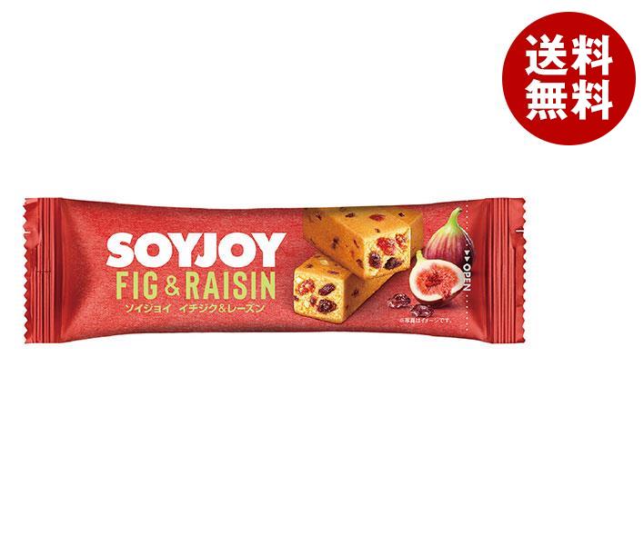 大塚製薬 SOYJOY(ソイジョイ) イチジク&レーズン 30g*48本入*(2ケース)
