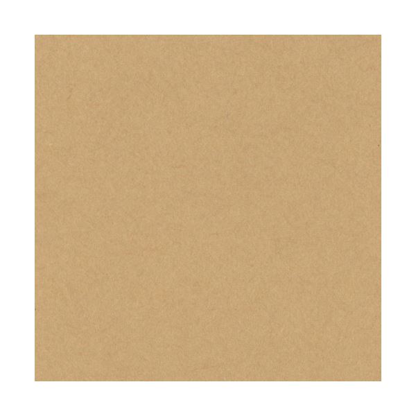 （まとめ）リンテック ニューカラーR 四つ切 うすちゃ 4NCR-109 100枚[x5]