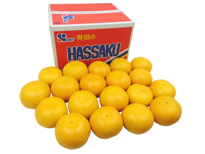 和歌山有田産 =AQはっさく= 赤秀 超大玉3L/4L/5Lサイズ 約9-10kg 予約 1月中旬以降