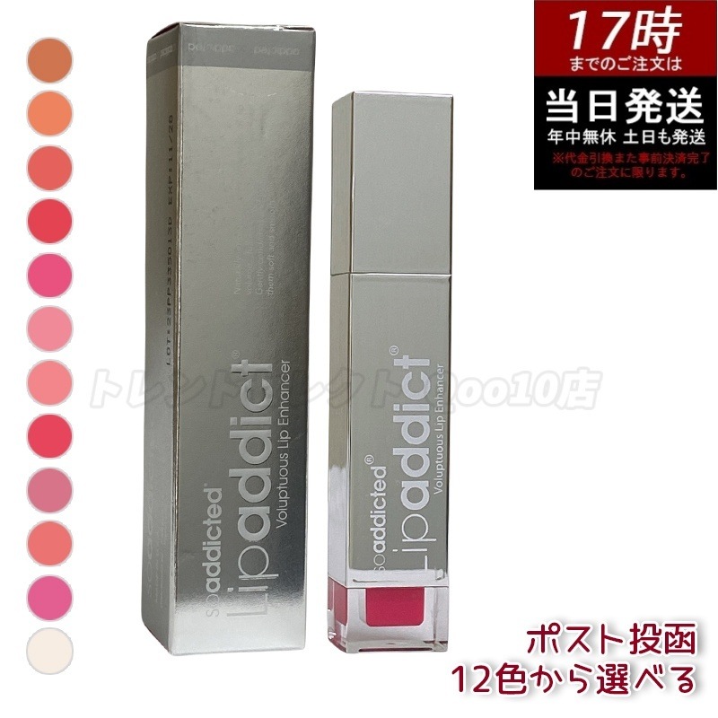 リップアディクト Lip addict 正規品 サロン リップグロス リップカラー 乾燥 保湿 パラベンフリー ハリ感 ベタつかない ナチュラル