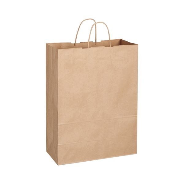 （まとめ） TANOSEE 紙手提袋 丸紐 特大 ヨコ360タテ480マチ幅170mm 茶 1パック（50枚） 5セット