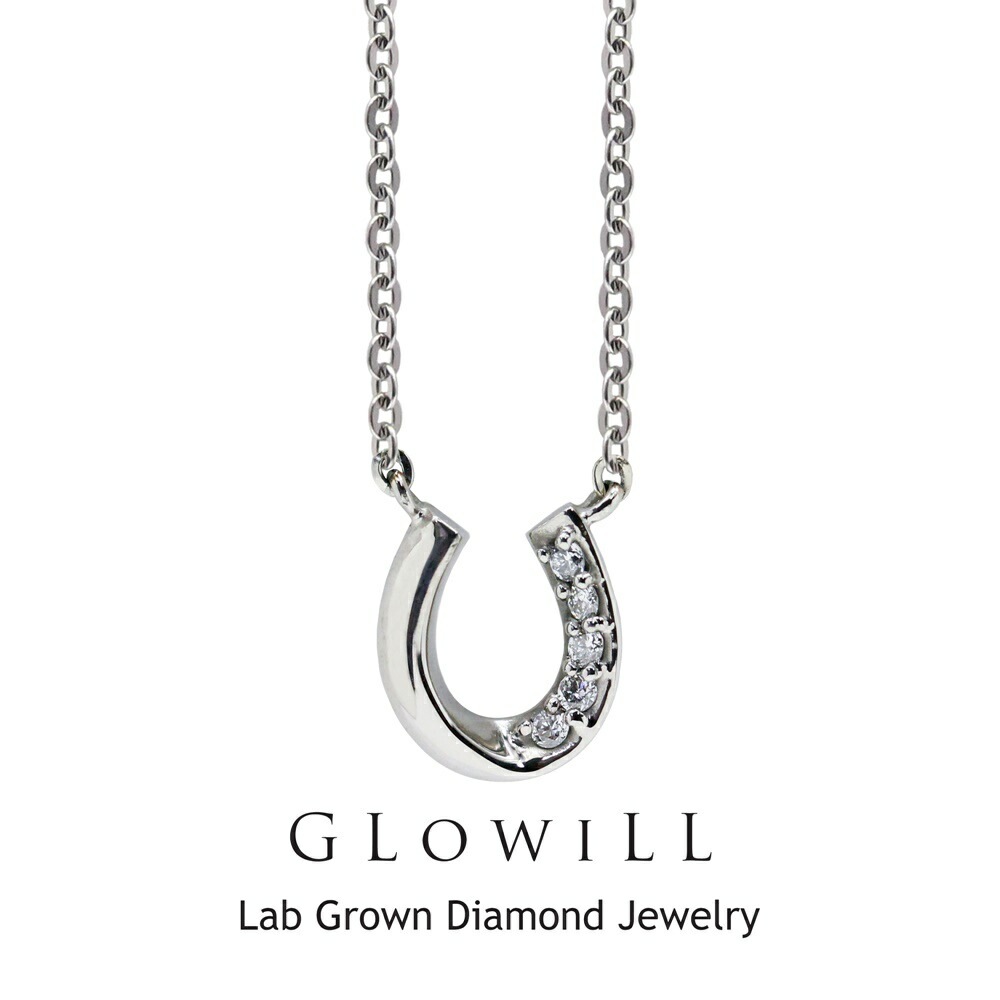 グローウィル ネックレス レディース シンプル おしゃれ プレゼント 女性 誕生日 ステンレス ラボグロウン ダイヤモンド チェーンネックレス シルバー 結婚祝い 結婚記念日 母 妻 彼女 女友達 ギ
