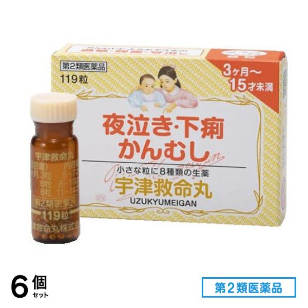 第２類医薬品 宇津救命丸銀粒 119粒 6個セット