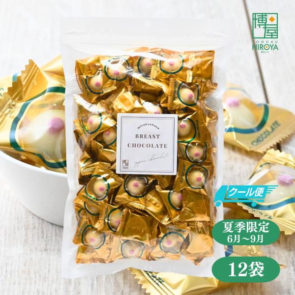 【クール便】博屋 国産 ピュアレ おっぱいチョコ 6kg(500g x 12袋) オッパイ ちょこ