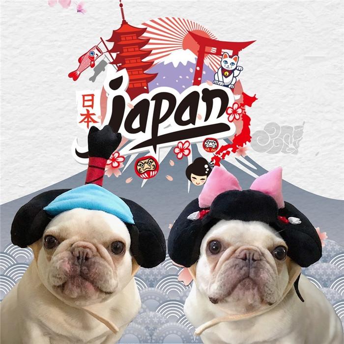 売り切れ♪犬用 かつら ハゲちゃびん サムライ パグ Pompreece Qoo10] 犬 着物 かつら 正月 ちょんまげ ハロ