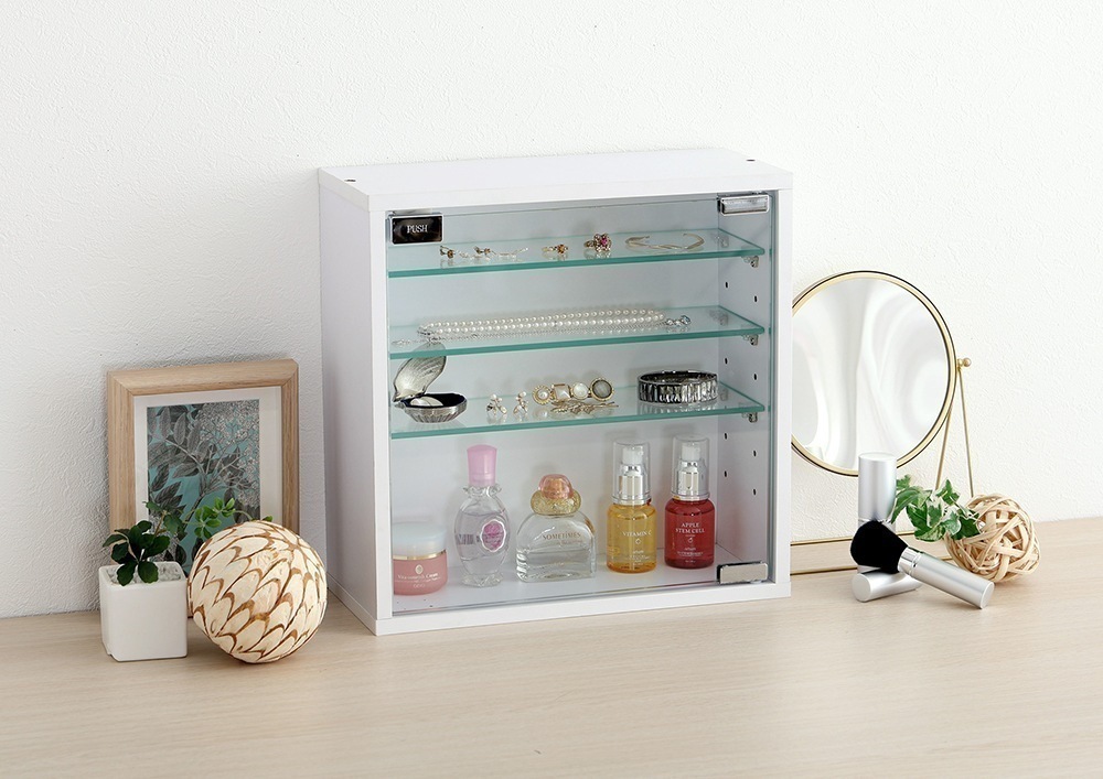 ラック 棚 扉付き ガラス コレクション 収納 キャビネット 推し活 フィギュア 浅型タイプ