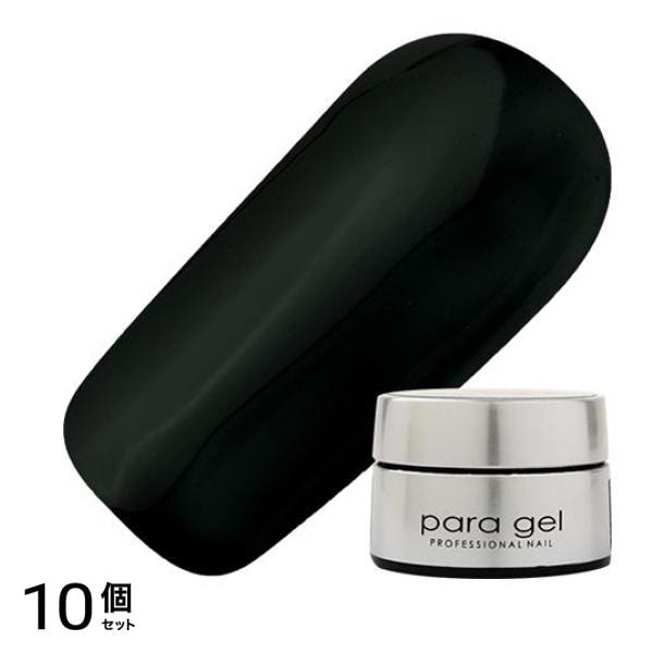para gel(パラジェル) カラージェル ST02 シースルーブラック 4g 10個セット