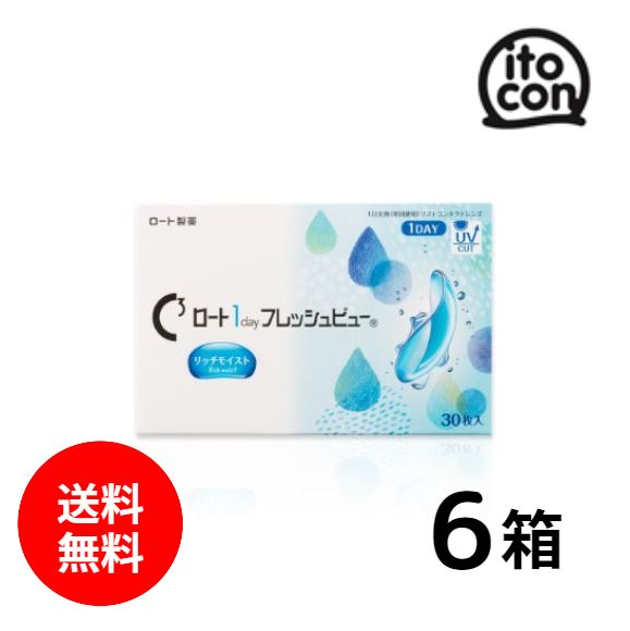 ロート1dayフレッシュビューリッチモイスト 30枚入り 6箱
