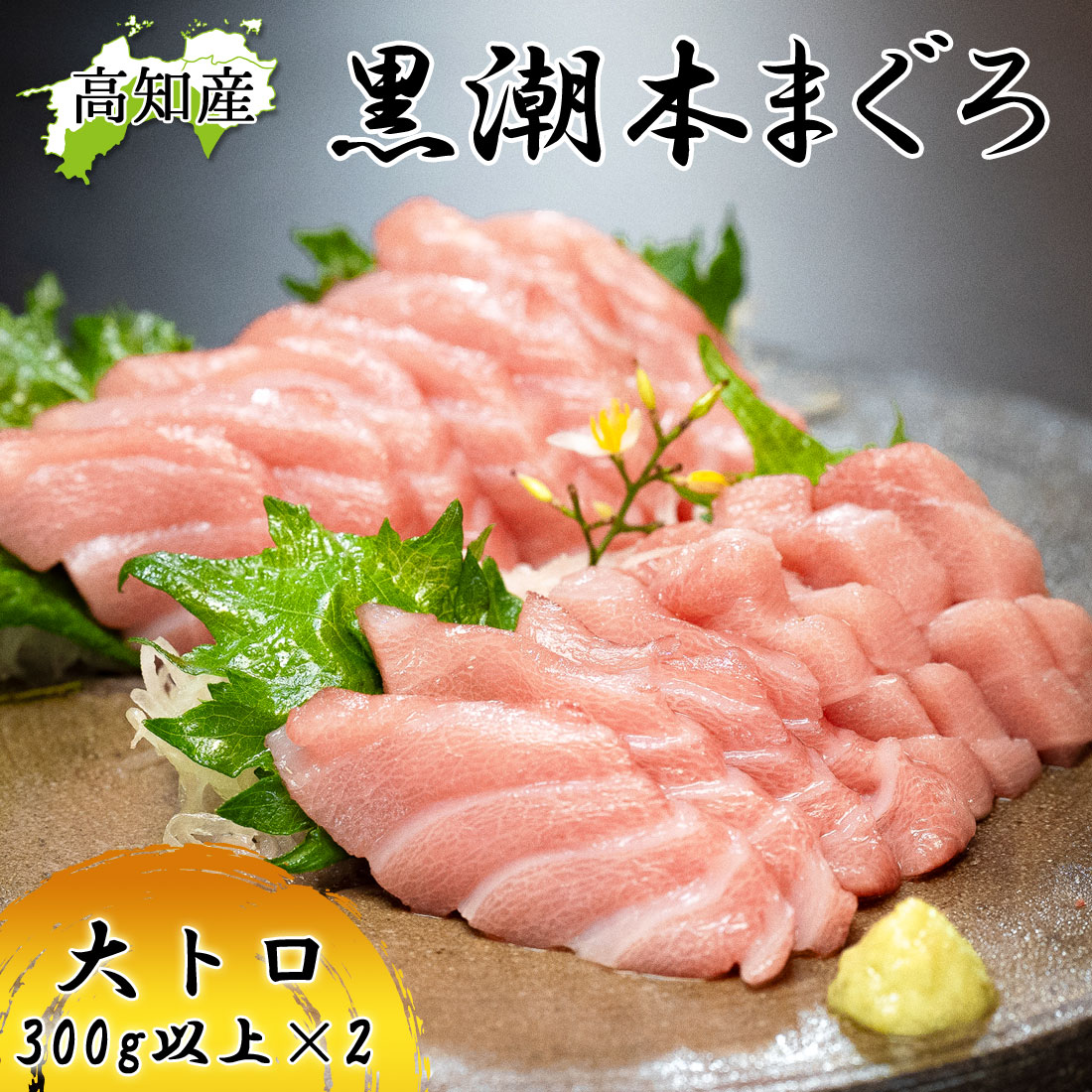 本マグロ 高知県大月町産 大トロ 600g(4ブロック) 不定貫 本鮪 プロトン凍結 まぐろ クロマグロ 黒鮪 養殖 黒潮 本まぐろ 大月 マグロ 冷凍便 ヤマト発送