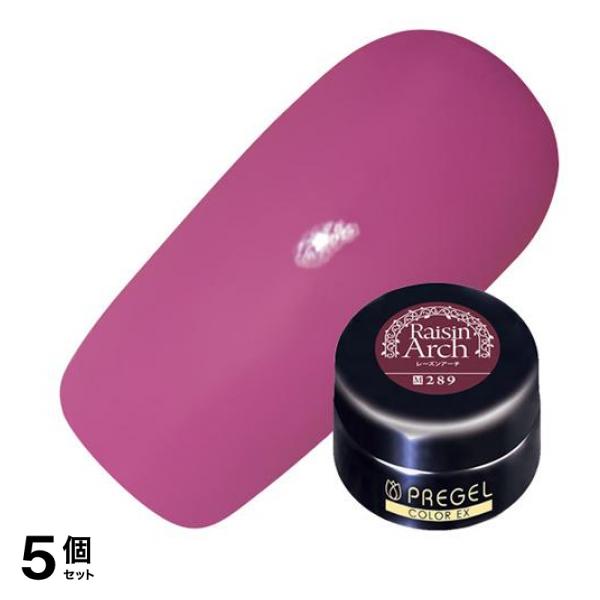 PREGEL(プリジェル) カラーEX PG-CE289 レーズンアーチ 4g 5個セット
