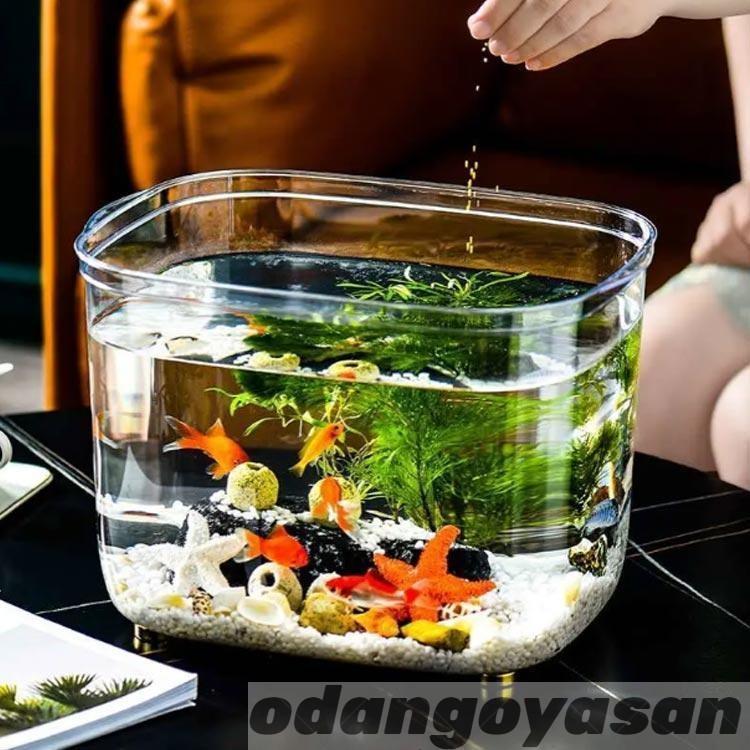 PET素材 観葉植物 飼育水槽 容 インテリア テーブル プラスチック 水槽 メダカ アクアリウム インテリア 容器 ボウル 金魚鉢 鉢 透明アクリル