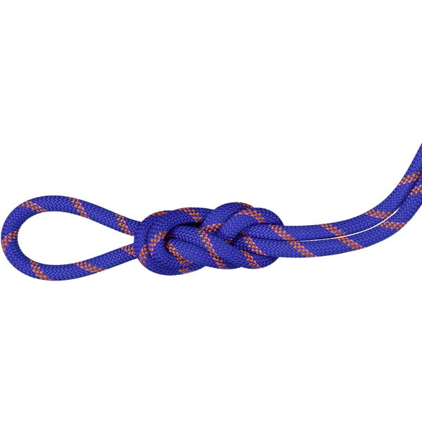 MAMMUT マムート 9.0 Alpine Sender Dry Rope Climbing Gear Mountaineering Ropes 50m 201004200C-11236 ロープ