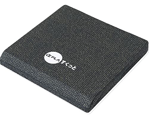 タイカ（Taica） アルファプラすくっとクッション SKTCA-4040