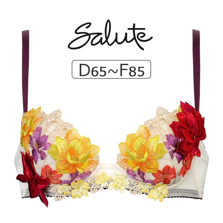 ワコール サルート 30G ブラジャー単品 P-upタイプ DEFカップ アンダー65/70/75/80/85cm BTJ430