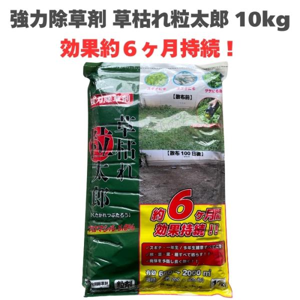 除草剤 強力 顆粒 草枯れ粒太郎 10kg 効果約6ヶ月 草丈40cm対応 土壌処理型 業務用にも 散布器 散粒器別売 粒状