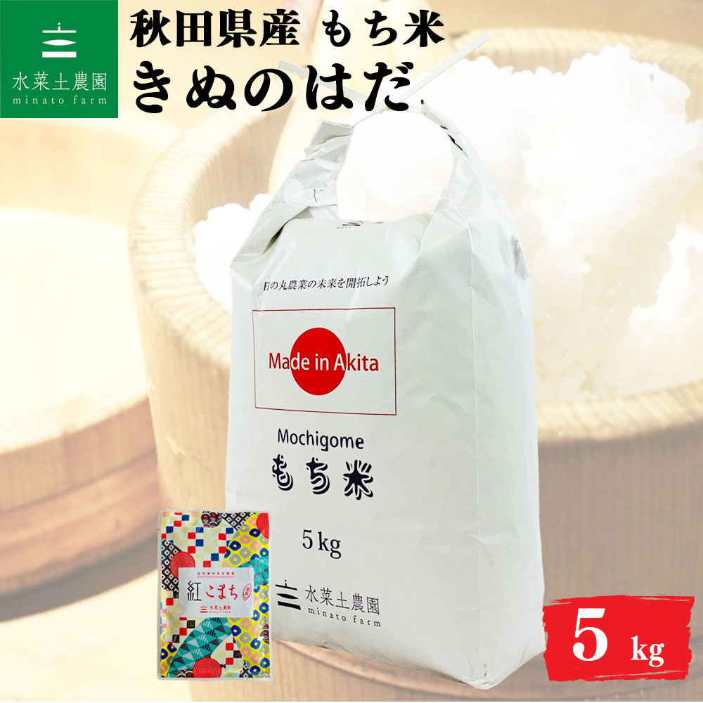 きぬのはだ もち米 5kg 秋田県産 令和7年産　古代米付き