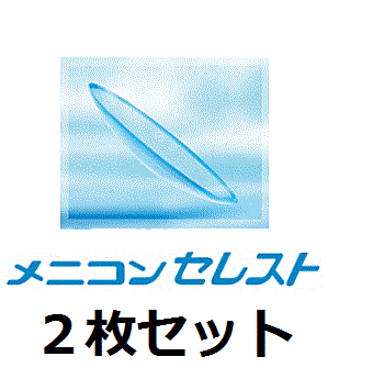 メニコンセレスト ハードコンタクトレンズ 2枚セット（度数破損の保証はありません）