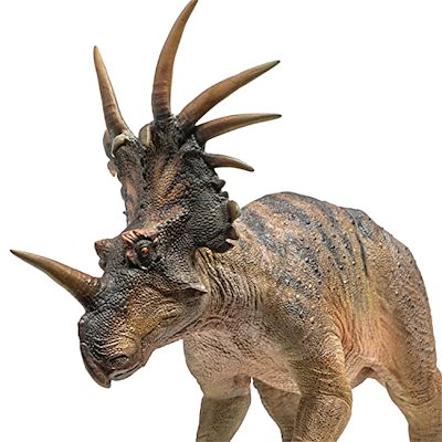 Qoo10] PNSO 成長シリーズ 59 スティラコ