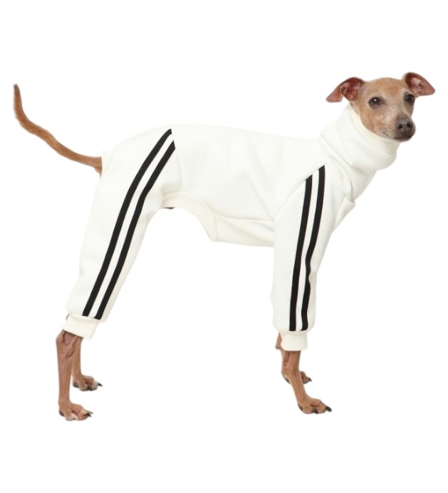 ウィペット服 裏起毛 無地 ロンパース つなぎ 中型犬 大型犬 イタグレ服 春 夏 秋 冬 イタリアングレーハウンド服 犬服 ペット服