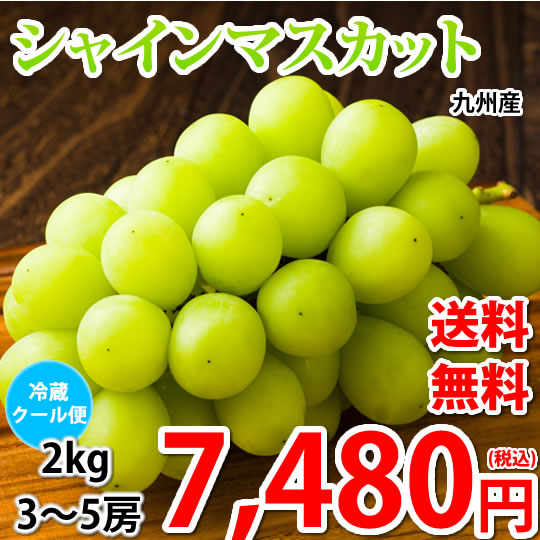 シャインマスカット ぶどう 2kg 3-5房 クール便でお届け 九州産 マスカット