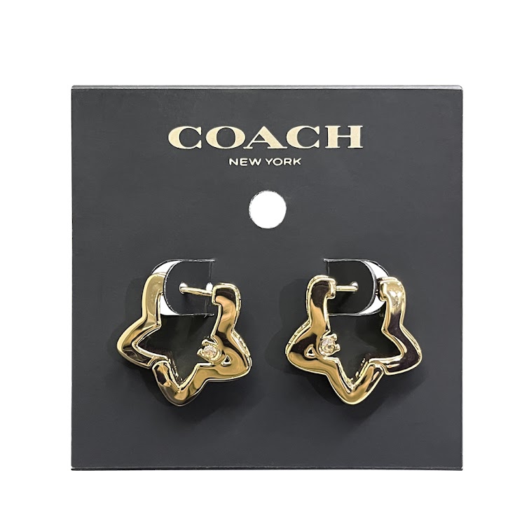 即発 スターフープピアス CY097 正規品 USA直送 アウトレット レディース