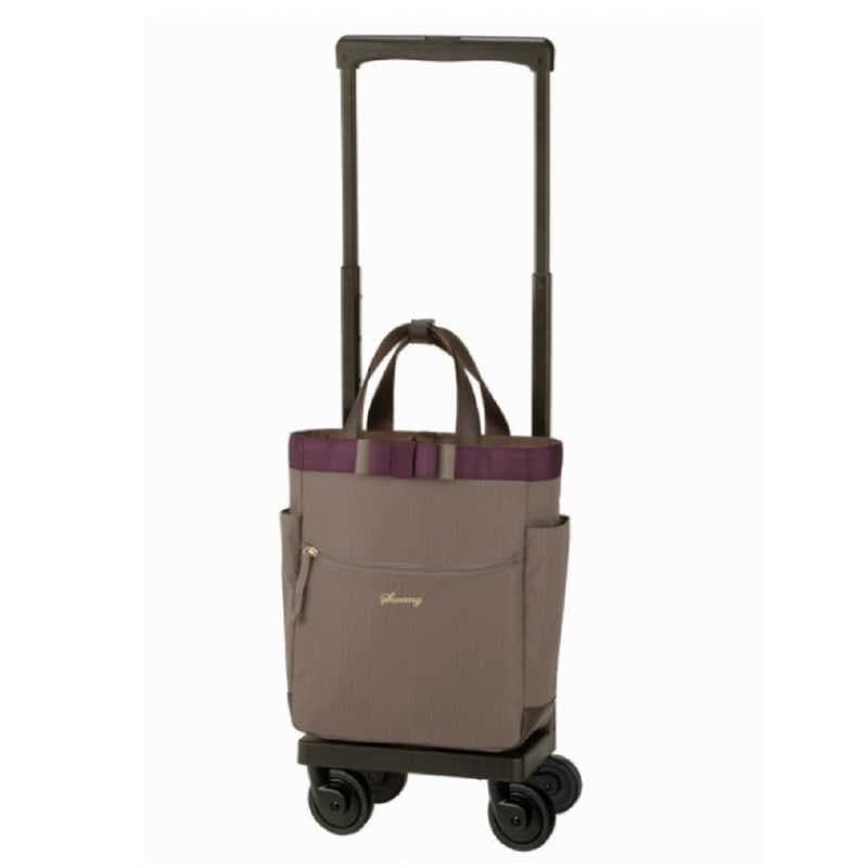 スワニー　D-640 ルバンド お買い物キャリー Mサイズ ルバンド グレージュ　64001