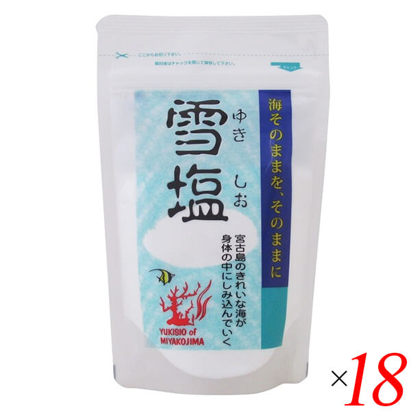 雪塩 パウダータイプ 120g 18個セット