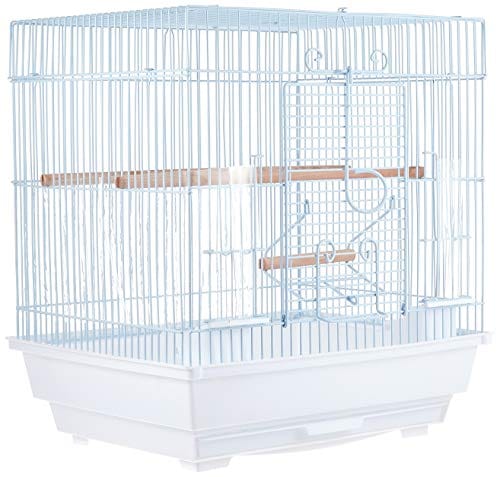 BIRD CAGE Q-101