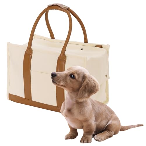 アイリスオーヤマ ペットキャリー キャンバストートキャリー メッシュ生地 飛び出し防止リード 2way Mサイズ P-CT400 アイボリー