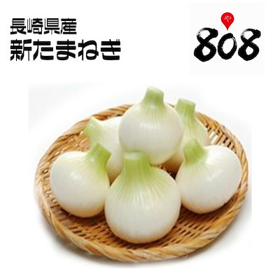 【送料無料】【長崎県産】新玉ねぎ 大玉 約10kg(北海...のサムネイル