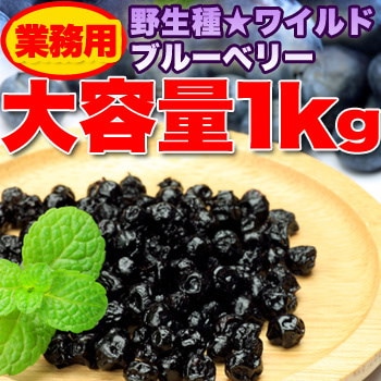 Qoo10 野生種ワイルドブルーベリー大容量１ｋｇ 食品