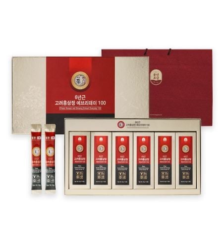 6年根 高麗紅参精 エブリデー100 紅参スティック 60包 ギフトセット/韓国発送