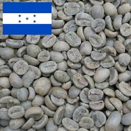 受注焙煎！2kg ホンジュラス マルカラ 有機栽培 2022年クロップ [選べる焙煎度合い] コーヒー豆 大山珈琲 業務用 自家焙煎 卸