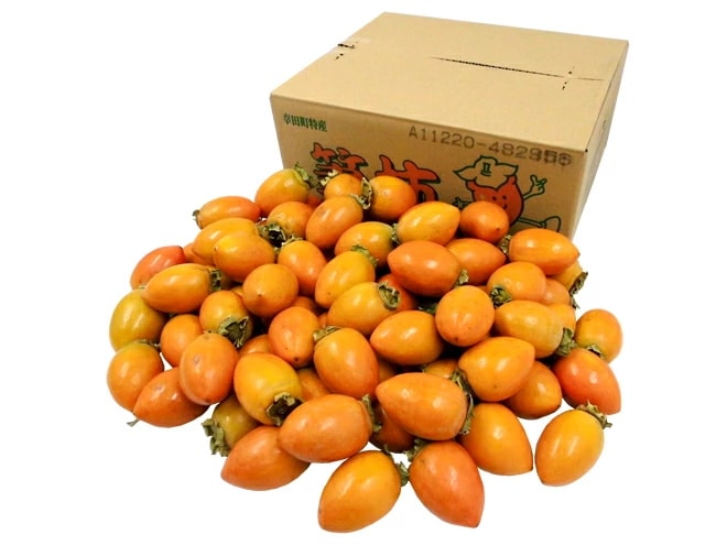 愛知県 幸田町 =筆柿= 秀品 L-3L 約7kg ふで柿 予約 9月下旬以降