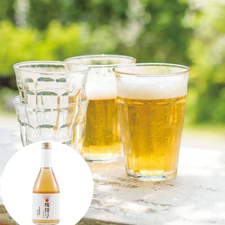和歌山 梅搾り (4倍希釈) 3本セット 490ml3 化粧箱入り 離島は配送不可 2820020 お歳暮 お中元 お土産 ご進物 ギフト 贈り物に最適