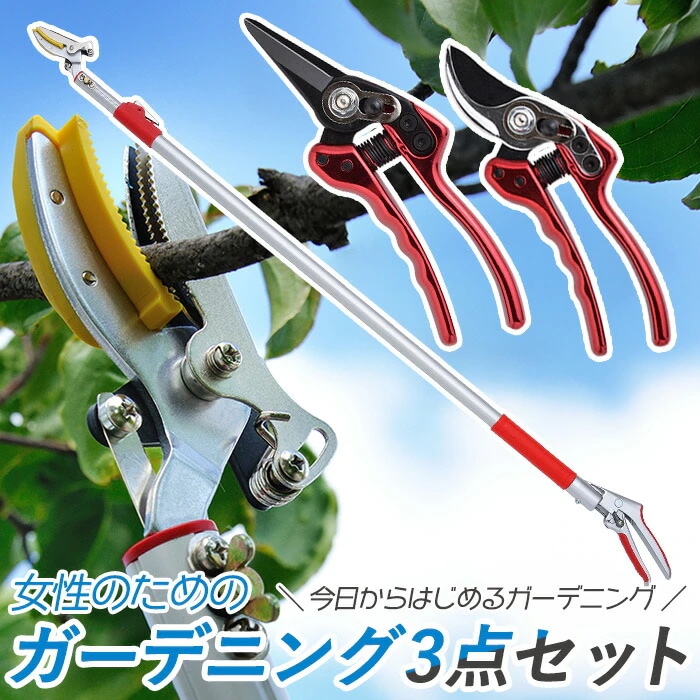 レディース園芸3点セット 3段伸縮式高枝切鋏 芽切鋏 小 剪定鋏 小 高枝切りバサミ 超軽量 伸縮 7,623円