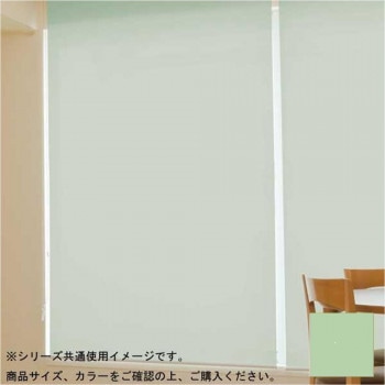 タチカワ ファーステージ 遮熱ロールスクリーン ダークブラウン 幅60×高さ180cm プルコード式 TR-1038 マスカット