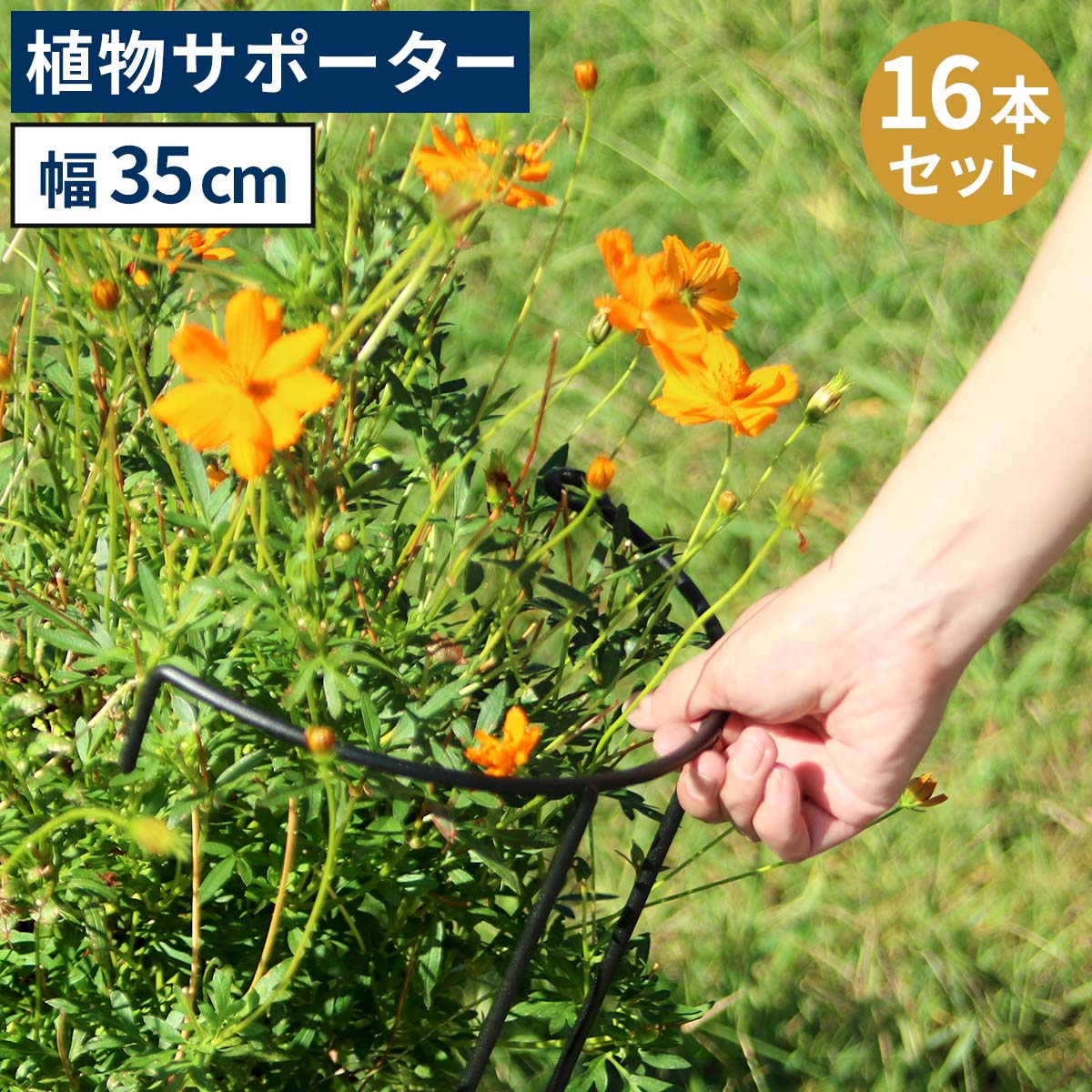 住まいスタイル アイアン製植物サポーター 幅35 16本セット IF-N0048-16P 奥行18 高さ65 ハーフリング 倒れ防止 広がり抑制 スチール 鉄製 支柱 園芸 植物サポート フラワ