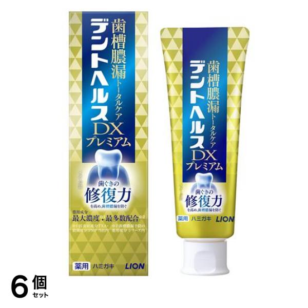 薬用ハミガキDXプレミアム 90g 6個セット