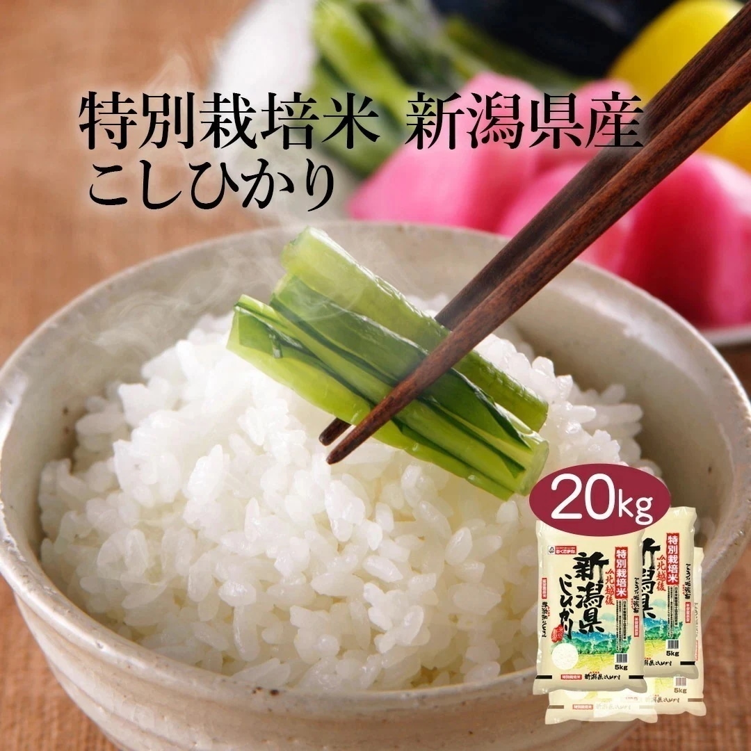 米 精米 新潟県 特別栽培米 こしひかり 20kg 5kg 4セット 令和6年産 JA北越後指定 お米 こめ 安い おこめ 白米 国産 食品 ギフト 引っ越し 内祝い お中元 送料無料