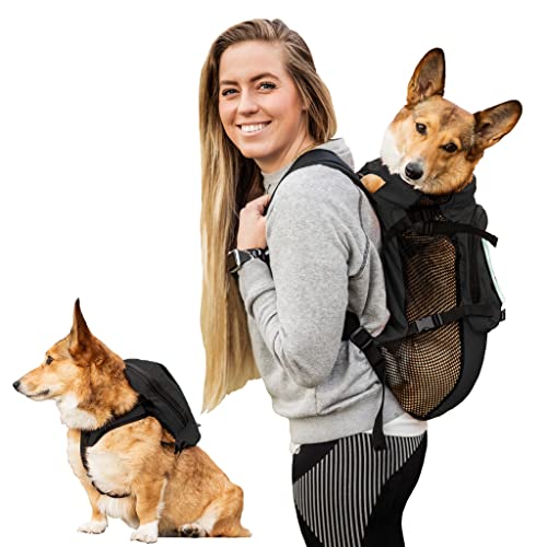 最新コレックション Dog Walk-On Sack Sport K9 Carrier 並 Black) Anthracite (Medium, Storage ＆ Harness with Backpack Dog リュック・デイパック