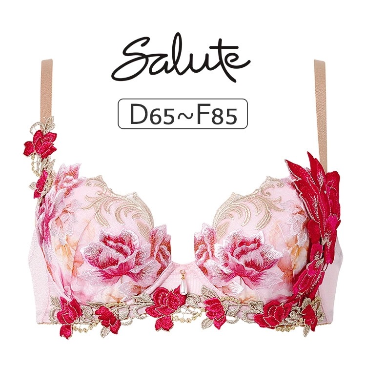 ワコール サルート 26グループ 26G ブラジャー単品 P-upタイプ DEFカップ アンダー 65/70/75/80/85cm BTJ426