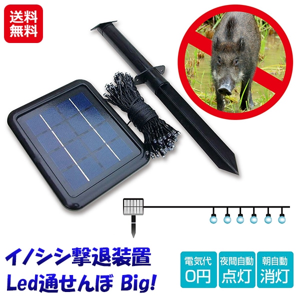 【イノシシ撃退装置 魔法の光 Led通せんぼ Big!】夜間専用 イノシシ 撃退 器 庭 畑 ゴルフ場 イノシシ対策 猪対策 いのしし 猪 対策グッズ 害獣 駆