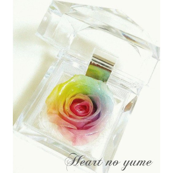 高級プリザーブドフラワーパステルレインボーローズ　プリザーブドフラワージュエリー お祝い　誕生日結婚祝い　記念品　出産祝い　結婚記念日 　退職祝い　歓送迎会　送別祝い　内祝い　開店祝い