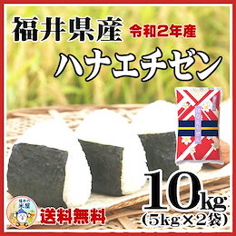 【令和2年産】★大人気品種★高級銘柄米「ハナエチゼン」★即納OK!【コシヒカリの孫!送料無料!福井県産ハナエチゼン10kg(5kg×2) 令和2年産☆単一原料米