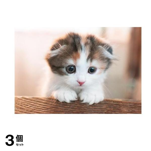 やのまん300ピースジグソーパズル 03-941 こっちだよ(猫) 26× 38cm 3個セット