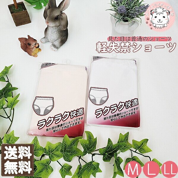 婦人 ラクラク快適 軽失禁 ショーツ 6枚セット M/L/LL